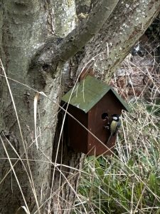 A DMS Bird Box being inspected at North Elmham Surgery.